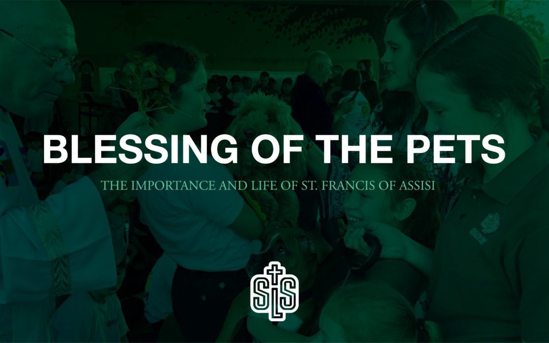 Celebrating the Feast of St. Francis of Assisi